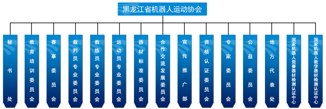 组织结构.jpg