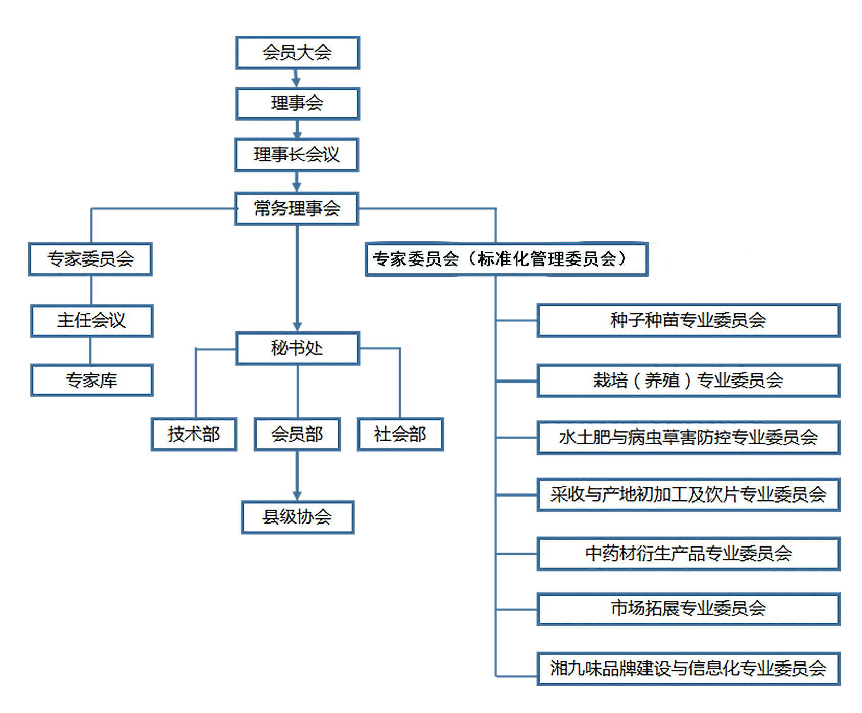 组织结构图_看图王.png