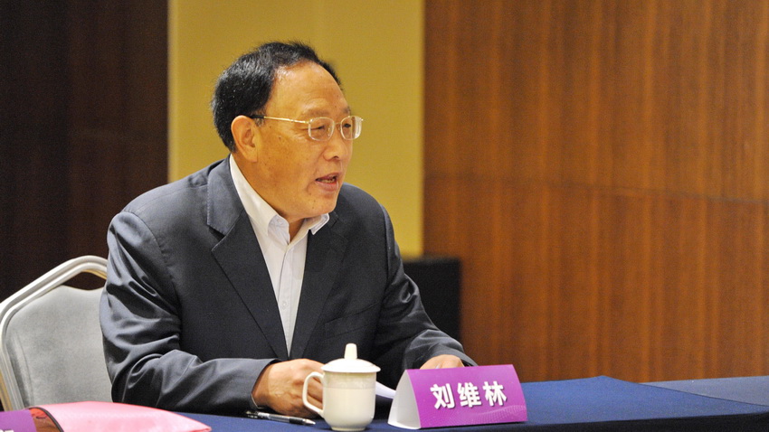 (刘维林会长做总结发言)